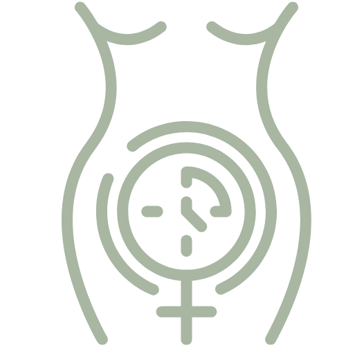 menopausa